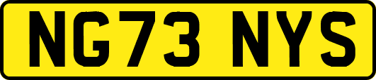 NG73NYS