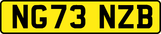 NG73NZB