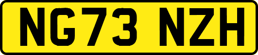 NG73NZH