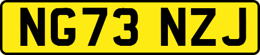 NG73NZJ