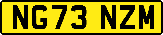 NG73NZM