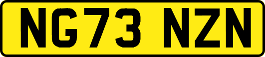 NG73NZN