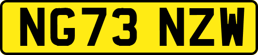 NG73NZW