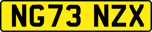 NG73NZX