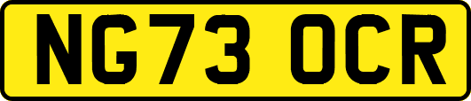 NG73OCR