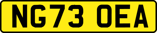 NG73OEA