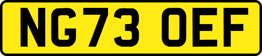 NG73OEF