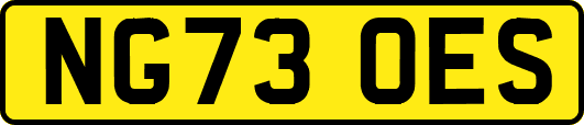 NG73OES