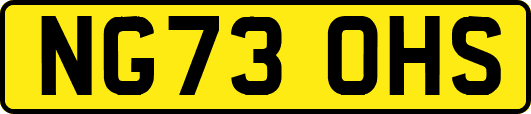 NG73OHS
