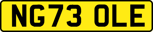 NG73OLE