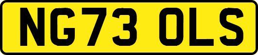 NG73OLS