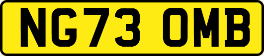 NG73OMB