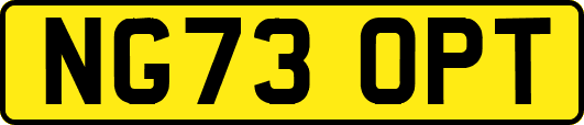 NG73OPT