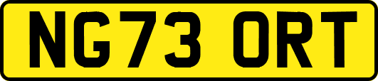 NG73ORT