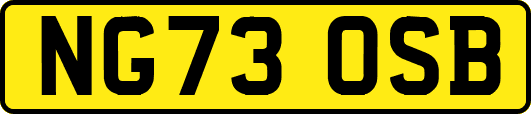 NG73OSB
