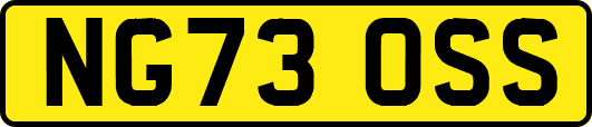 NG73OSS