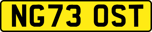 NG73OST