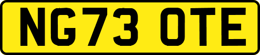 NG73OTE