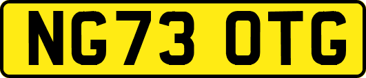 NG73OTG