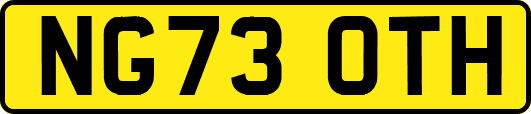 NG73OTH