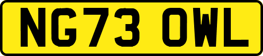 NG73OWL