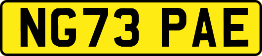 NG73PAE