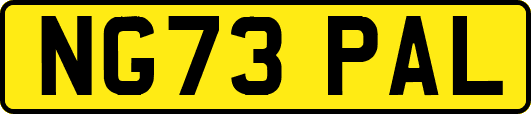 NG73PAL