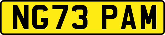 NG73PAM