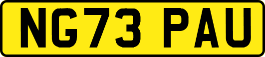 NG73PAU
