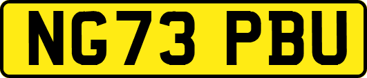 NG73PBU