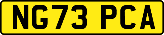 NG73PCA