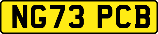 NG73PCB