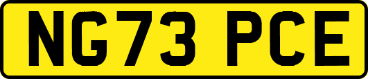 NG73PCE