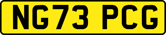 NG73PCG