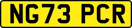 NG73PCR