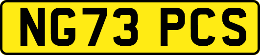 NG73PCS