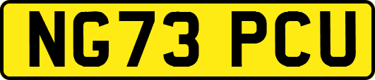 NG73PCU