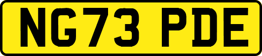 NG73PDE