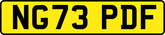 NG73PDF