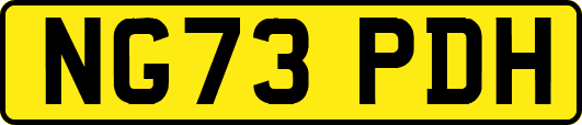 NG73PDH
