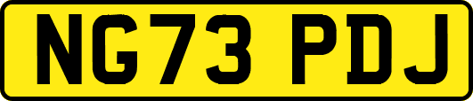 NG73PDJ