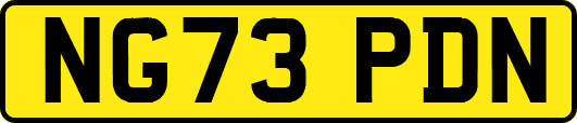 NG73PDN