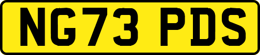 NG73PDS