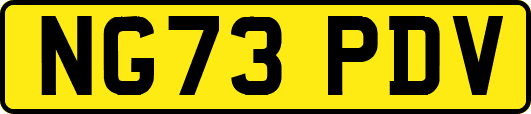 NG73PDV