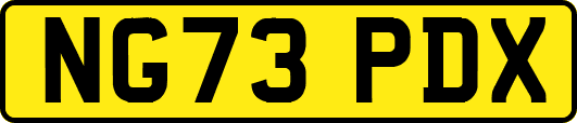 NG73PDX