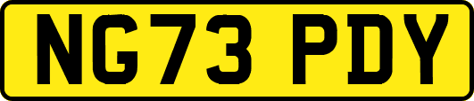 NG73PDY