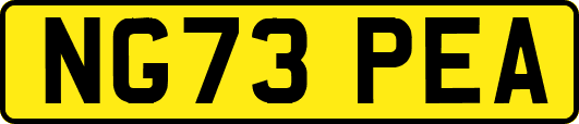 NG73PEA