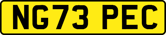 NG73PEC