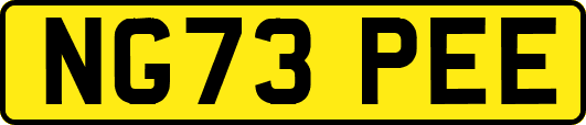NG73PEE