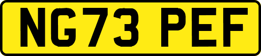 NG73PEF